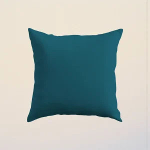 Cuscino Color 60 x 60